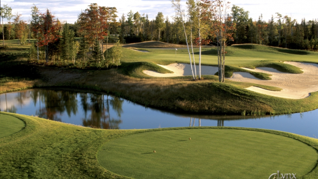 greens at the Kingswood Golf course